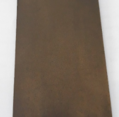 VBra-0019.00